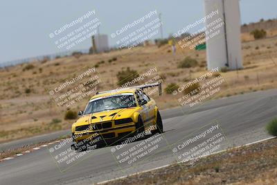 media/May-03-2025-Lucky Dog Racing (Sat) [[206de64b9d]]/Turn 6 (150pm-230pm)/